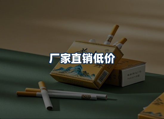 专业团队办公环境